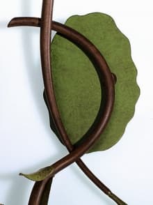 Finishing: Rust with Green