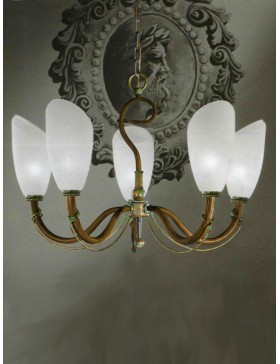 POLIDECO 736